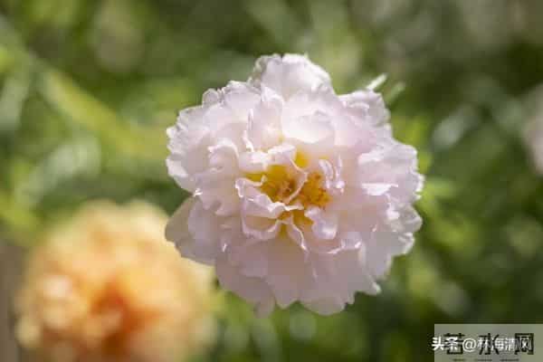 纠结时默念《金刚经》8字，90%的烦恼都能化解