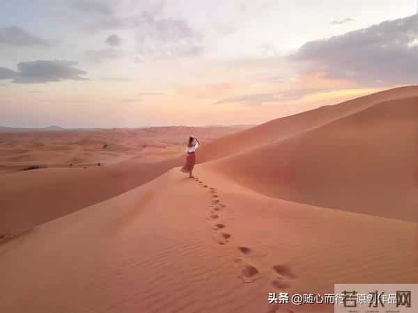 卜算子《不识流年景》词-张毅