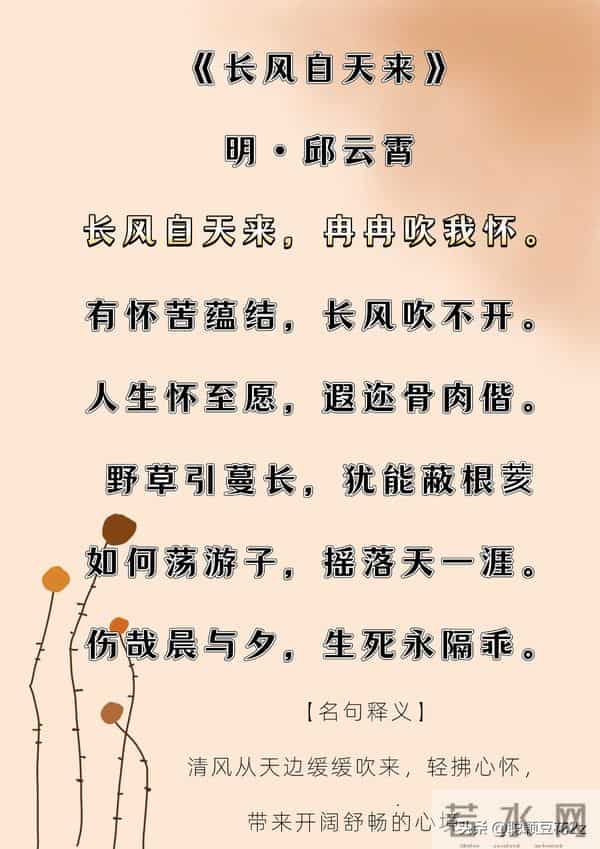 闲适生活｜陶然无喜亦无忧，人生且自由。