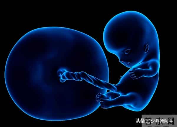 生男生女是随机还是注定？看古人智慧与现代科学的解读