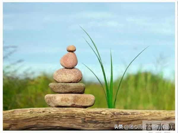 卜算子《不识流年景》词-张毅