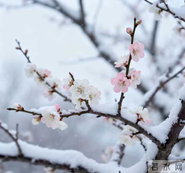 40首婉约风格的七言绝句，揽烟霞草木，藏人间温柔情长