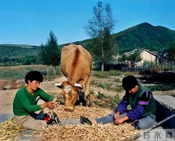 故事：86年转业，战友到物资局我却进了快倒闭烟厂，我却喜笑颜开