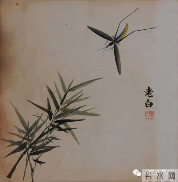 白石老人绝美草虫大荟萃，实在是太养眼啦！