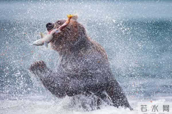 猎刀—（7）你奈我何