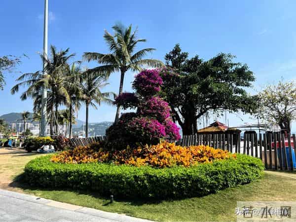 悟得人间情最贵萍水相逢亦前缘