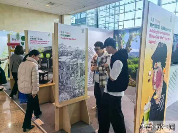 西方专家：中文霸权已经觉醒，正在撬动全球秩序，或改写人类文明