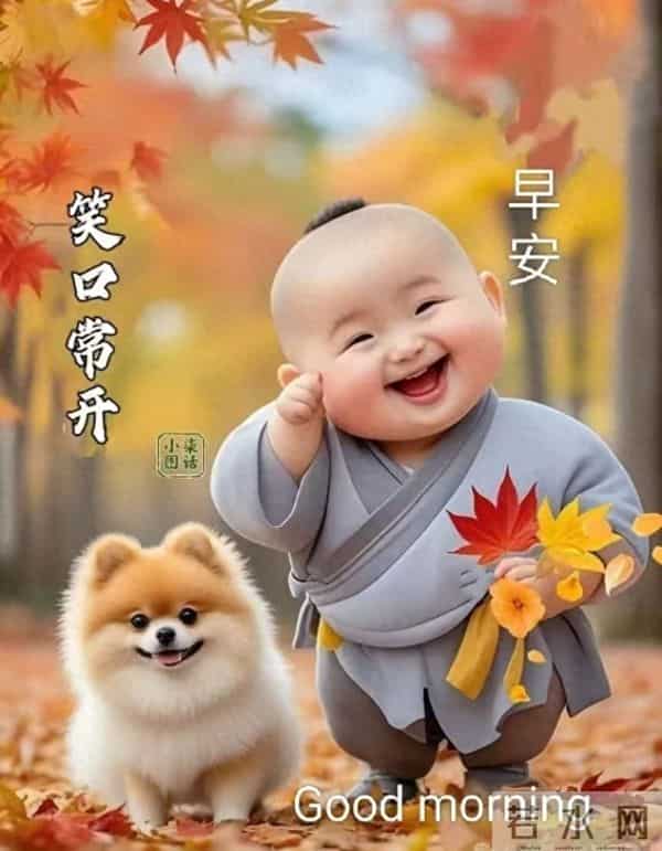 憨态小和尚的早安禅境