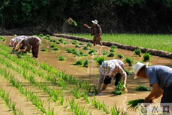 老家有个堂哥，年轻时候特好色。因为他家穷，快三十岁了还没结婚