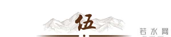 为什么有人说，中国走上了"修正主义"道路，修正主义是什么？