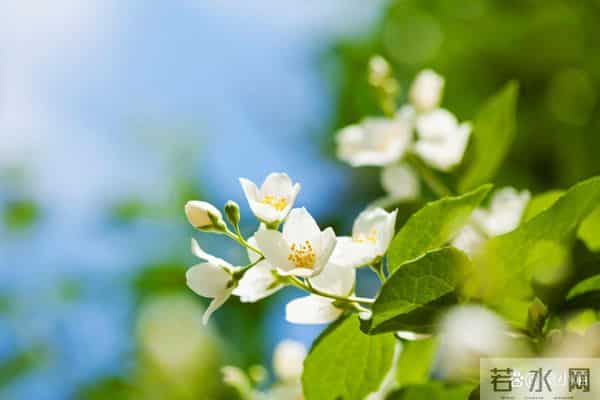 女人真心想你了，不会直接说“我想你”，而是给你这些暗示