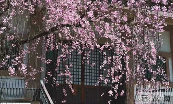 和女人相处久了才懂:除了生理需求,她们更渴望这3种深层满足