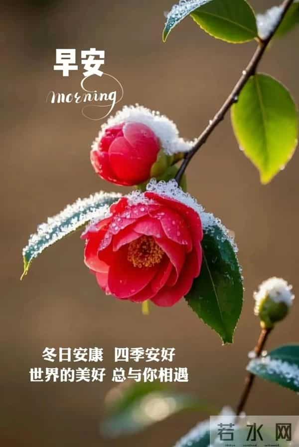 12月15日早上好 早上好温馨问候图片 早安图片最新今天 早安吉祥