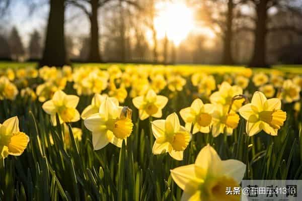 开心是一天，不开心也是一天，所以为什么，就不能开心一点