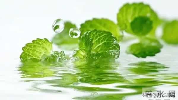 两性关系，女人可以搂着睡，亲她的嘴，但千万别全信她说的话