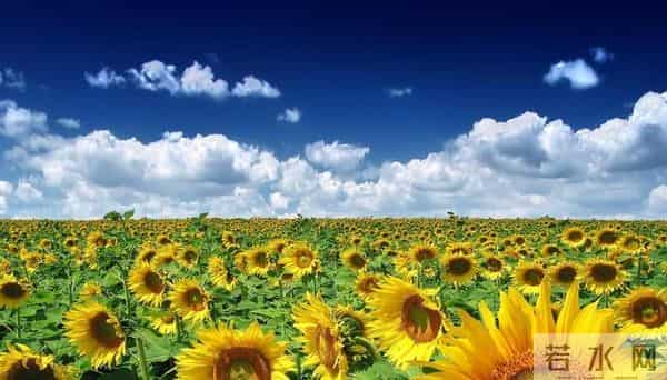 两性关系：夫妻到七十岁不分居？只有三种人能做到，你是哪一种！