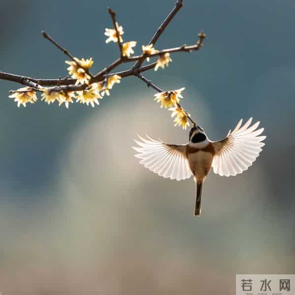 我60岁，找了个52岁女搭伙过日子，发现：女人年纪大了照样“作”