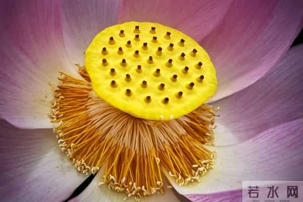 93岁母亲熬走了老大老二才明白,老人超过一定年龄要守住三个原则