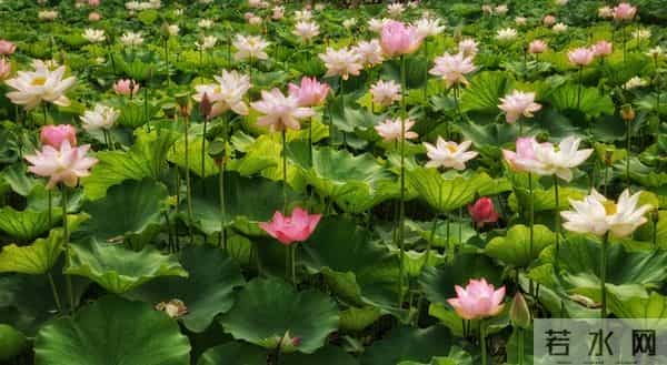 93岁母亲熬走了老大老二才明白,老人超过一定年龄要守住三个原则