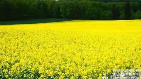 两性关系:女人真正反感的四种行为,男人千万别踩雷!