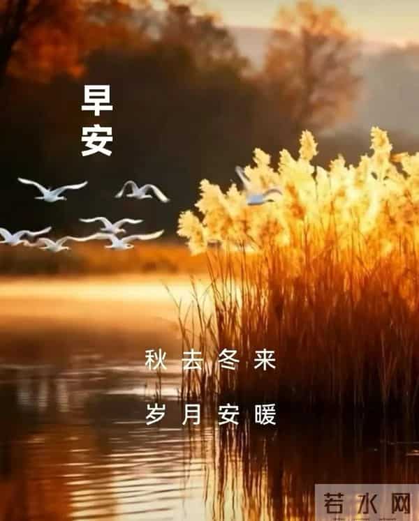 12月15日早上好 早上好温馨问候图片 早安图片最新今天 早安吉祥