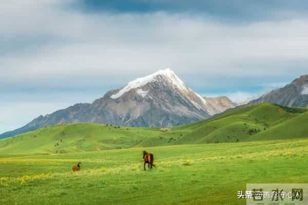夫妻相处时，男人越不心疼你，吼你，不尊重你，越要牢记这3点