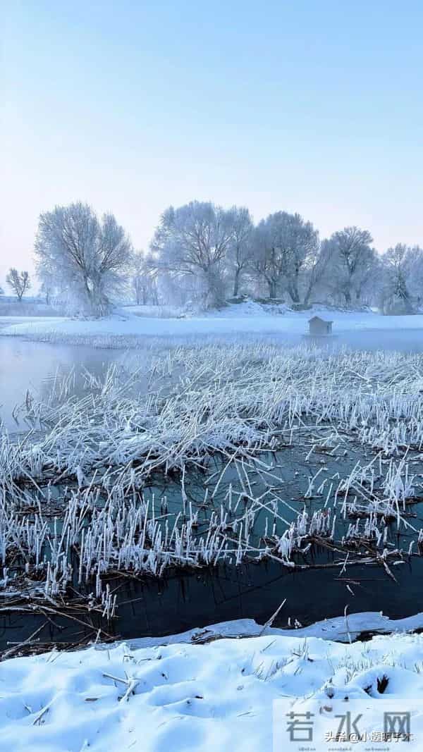 父亲娶的是童养媳，母亲死后，父亲连个鸡蛋都不会剥