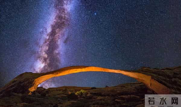 一种愚蠢的人，三个字