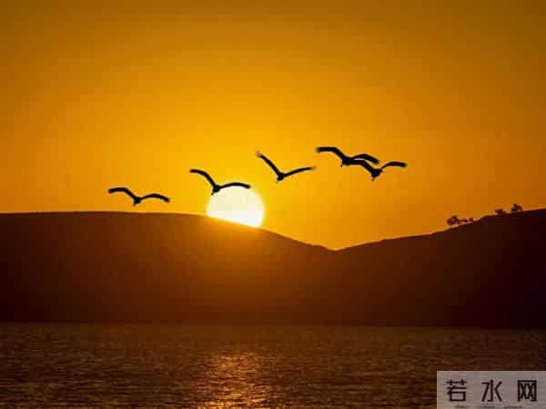 张晓磊爆款文章-心态,才是一个人最好的风水