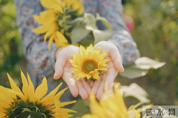 心眼坏的人，往往有这几个特征，离这种人远点，他们心眼不正