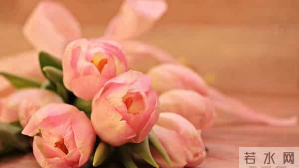 酉鸡，人算不如天算，12月16号最大的坎，可能不是事，而是人！