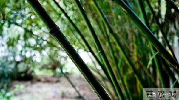 2026年，最容易做成大事的三个星座