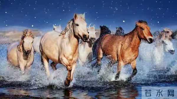 属马人注意！熬过这两日，人生将迎转运黄金期