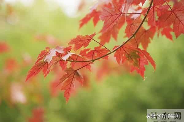 一个家庭最大的灾难，不是穷，而是父亲长期在这3件事上缺席