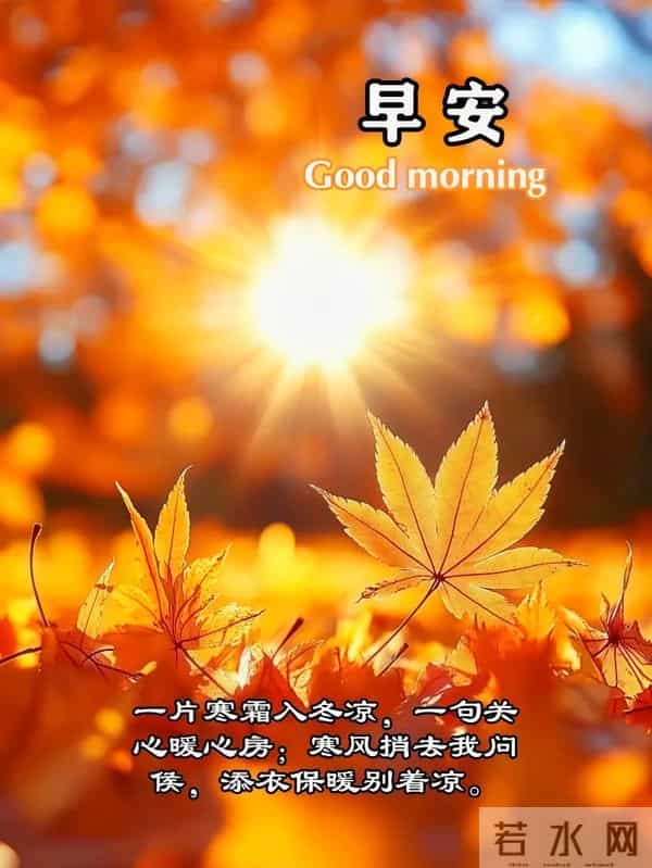 2025.12.15 冬天周一早安愉快！最新精美周一早上好温馨祝福语图片