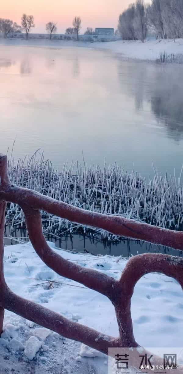 父亲娶的是童养媳，母亲死后，父亲连个鸡蛋都不会剥