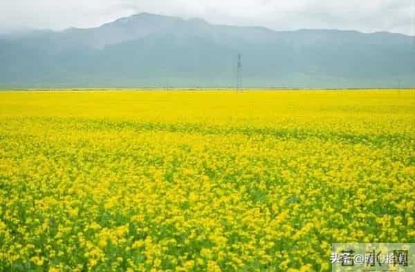 两性关系:如何在早上起床发一句,让异性惦记你好几天,别不懂!