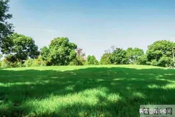 两性关系:如何在早上起床发一句,让异性惦记你好几天,别不懂!