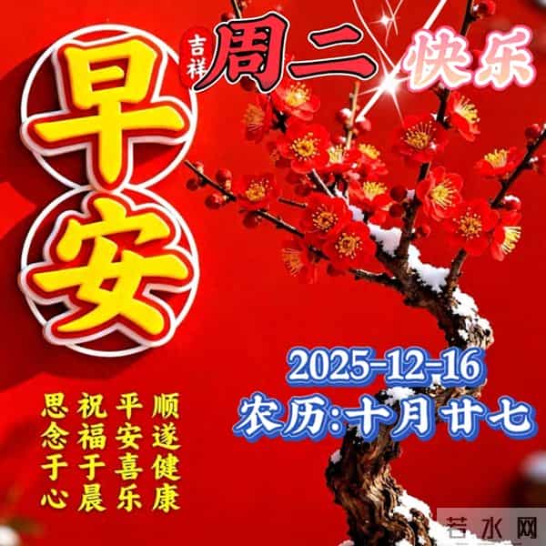 「2025.12.16」今日唯美早安祝福图片问候，温馨早上好祝福语