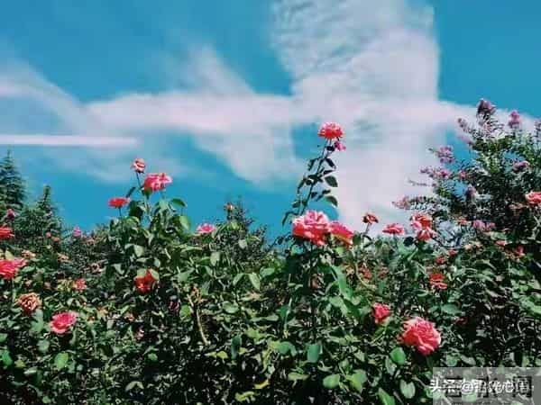 两性交往，刺激女人荷尔蒙的6个“心”开关，让她彻底为你沦陷