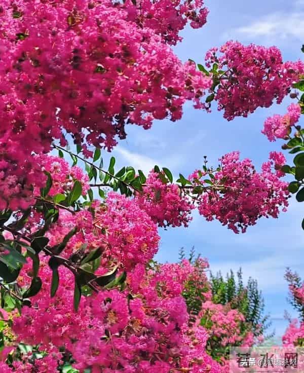 情感：女人想让你泡，5个信号不用猜，马上错过就不在来…