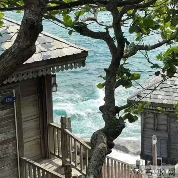 骨子里透着的固执,谁也焊不动的三大星座