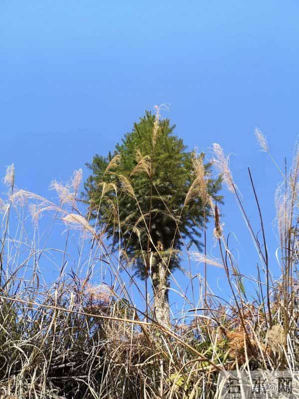 怀孕时男友消失了，男友妈让她打胎，9年后男方父母又想来抢孙子