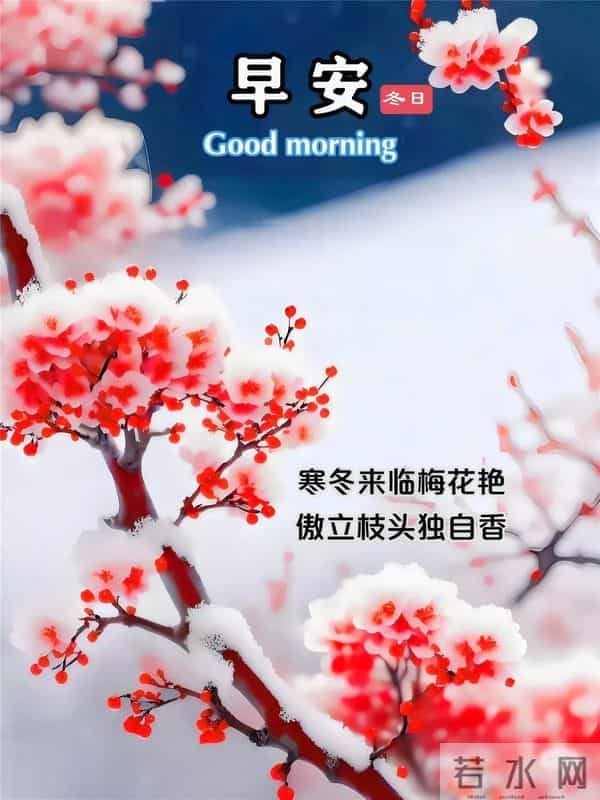 早上好早安祝福美图-冬藏福气，岁有余庆