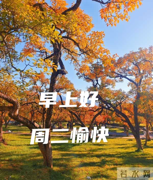 2025年12月16日早上好 早上好温馨问候祝福语 早安精美图片 周二愉快