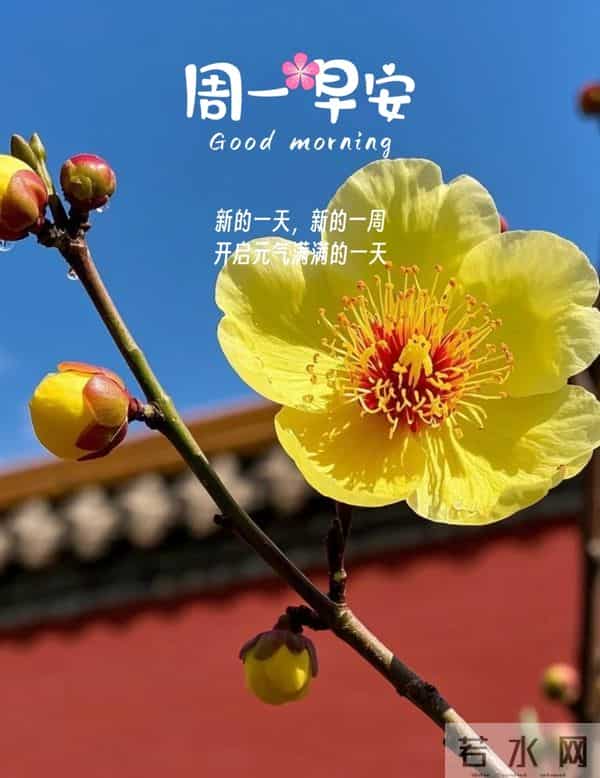 2025.12.15 冬天周一早上好!最新精美周一早安愉快温馨祝福图片