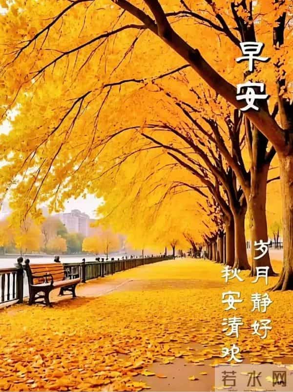 12月15日早上好 早上好温馨问候图片 早安图片最新今天 早安吉祥