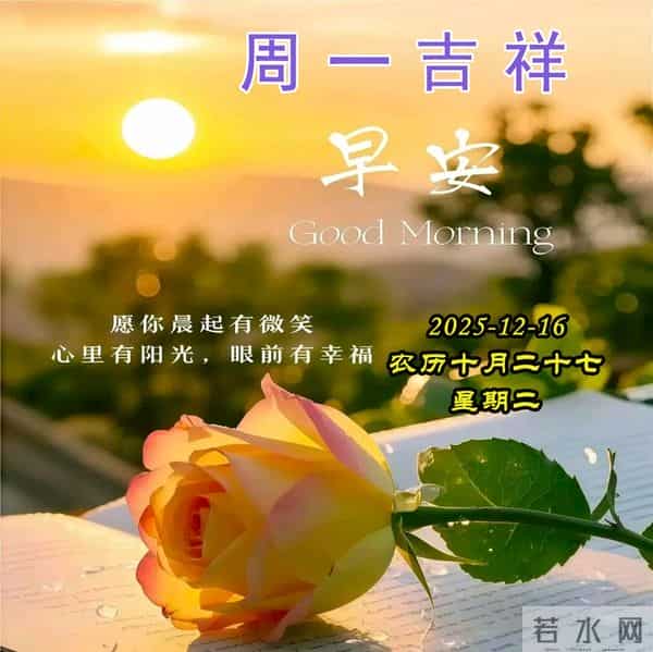 周二早安美图-一字一句总关情，一朝一夕皆圆满。