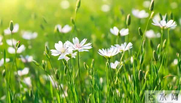 属蛇人12月渡劫期：16-18日离别将至，做好3件事迎新蜕变新生