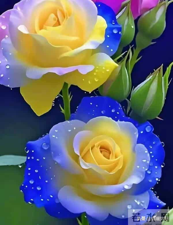 两性关系：不会走散的情人，都守着这3大规律